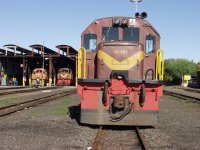 Diesel locos in South Africa.