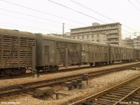 Livestock wagons