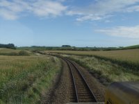 Corn to the left and right sides of the railway line.