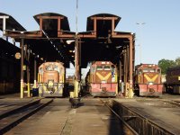 Diesels in the morning light.