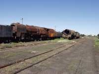 Steam locos in various stages of being forgotten.