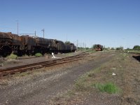 The line of forgotten locos.