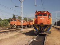 Class 34 and 36 Diesels snooze in sun with friend 6E1.