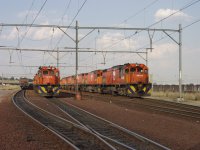 Class 37 and 34 EMD diesels.