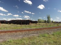 Rows of dumped locos.