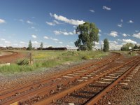 View in the direction of the old shed.